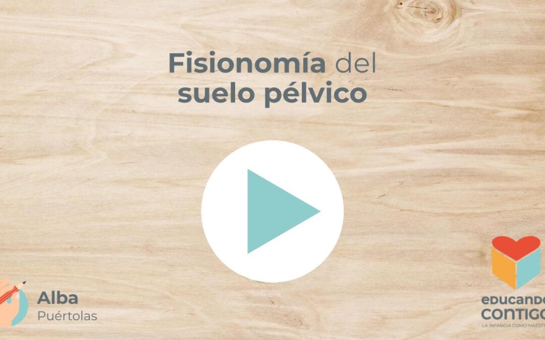 Fisionomía del suelo pélvico